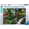 Ravensburger Puzzle: Bunte Papageien Im Dschungel (2000 Teile) -Bester Spielwaren Geschäft Ravensburger Puzzle Bunte Papageien im Dschungel 2000 Teile @@1828719