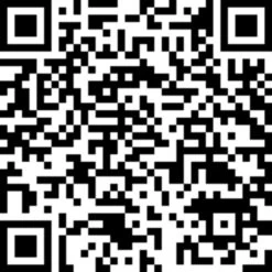 Salta Trampolin Premium Ground, Fitnessgerät -Bester Spielwaren Geschäft Salta Trampolin Premium Ground Fitnessger t@@1777989 15