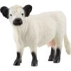 Schleich Farm World Galloway Kuh, Spielfigur -Bester Spielwaren Geschäft Schleich Farm World Galloway Kuh Spielfigur@@1865781