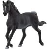 Schleich Horse Club Araber Hengst, Spielfigur 2 Schleich Horse Club Araber Hengst, Spielfigur -Bester Spielwaren Geschäft Schleich Horse Club Araber Hengst Spielfigur@@100016829