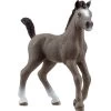 Schleich Horse Club Cheval De Selle Francais Fohlen, Spielfigur 1 Schleich Horse Club Cheval De Selle Francais Fohlen, Spielfigur -Bester Spielwaren Geschäft Schleich Horse Club Cheval de Selle Francais Fohlen Spielfigur@@1866362