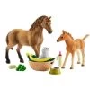 Schleich Horse Club Sarahs Tierbaby-Pflege, Spielfigur 2 Schleich Horse Club Sarahs Tierbaby-Pflege, Spielfigur -Bester Spielwaren Geschäft Schleich Horse Club Sarahs Tierbaby Pflege Spielfigur@@1832550